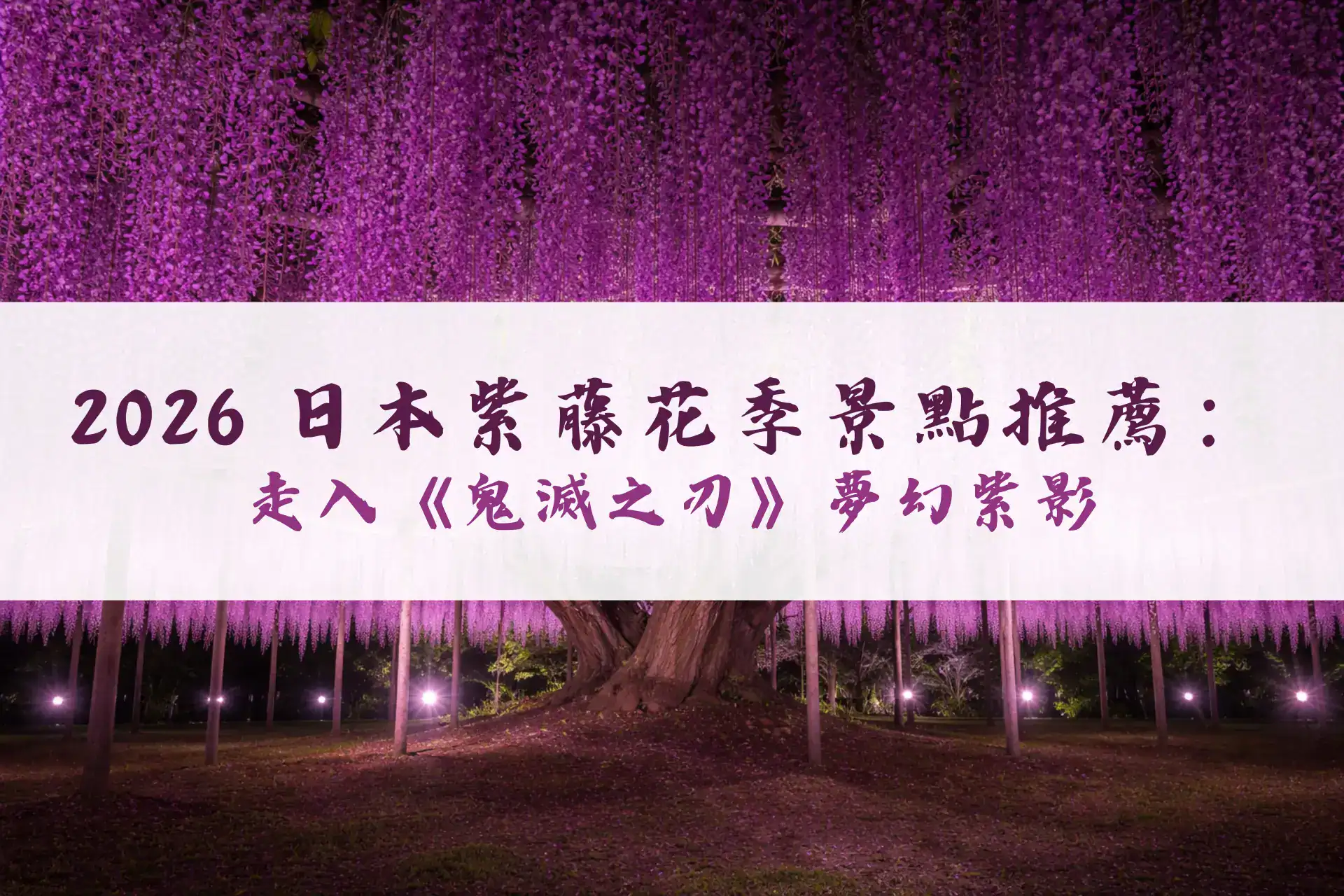 2026日本紫藤花季景點推薦：走入《鬼滅之刃》夢幻紫影