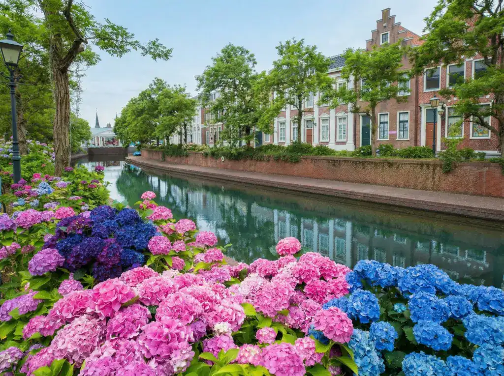 豪斯登堡示意圖