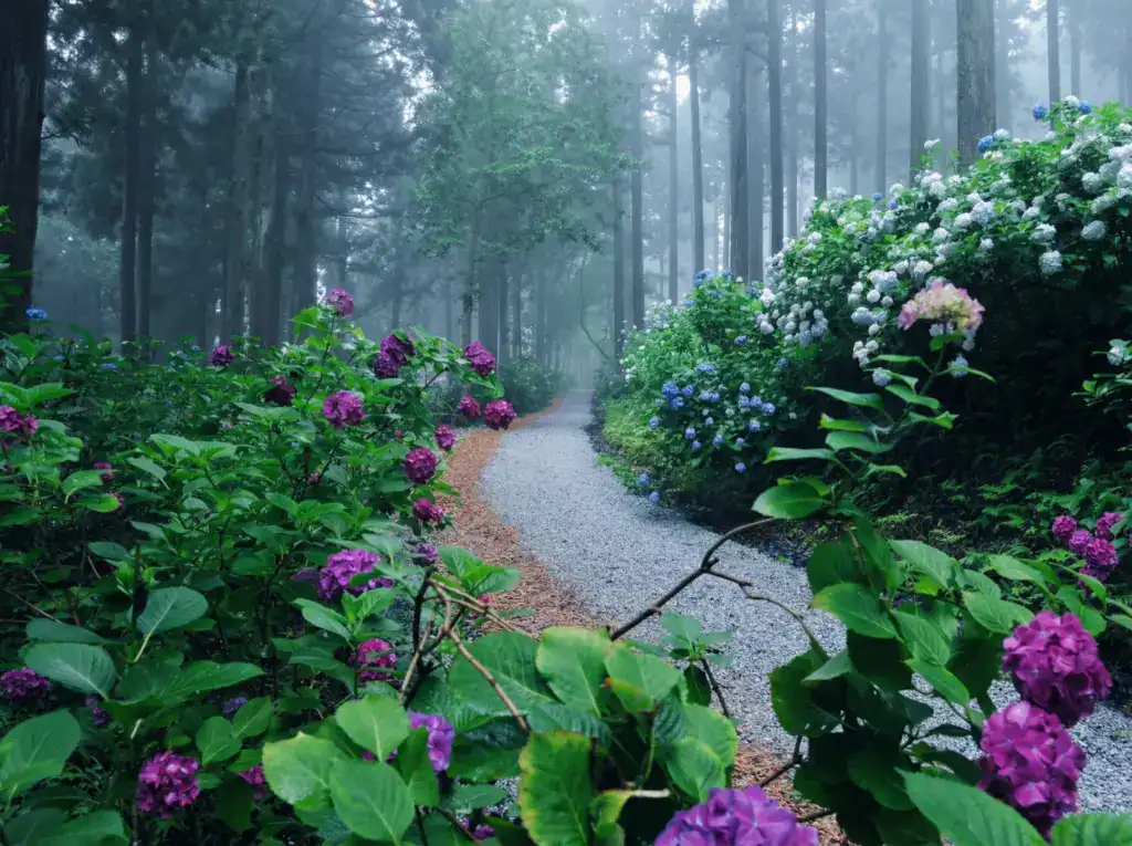 陸奧紫陽花園示意圖